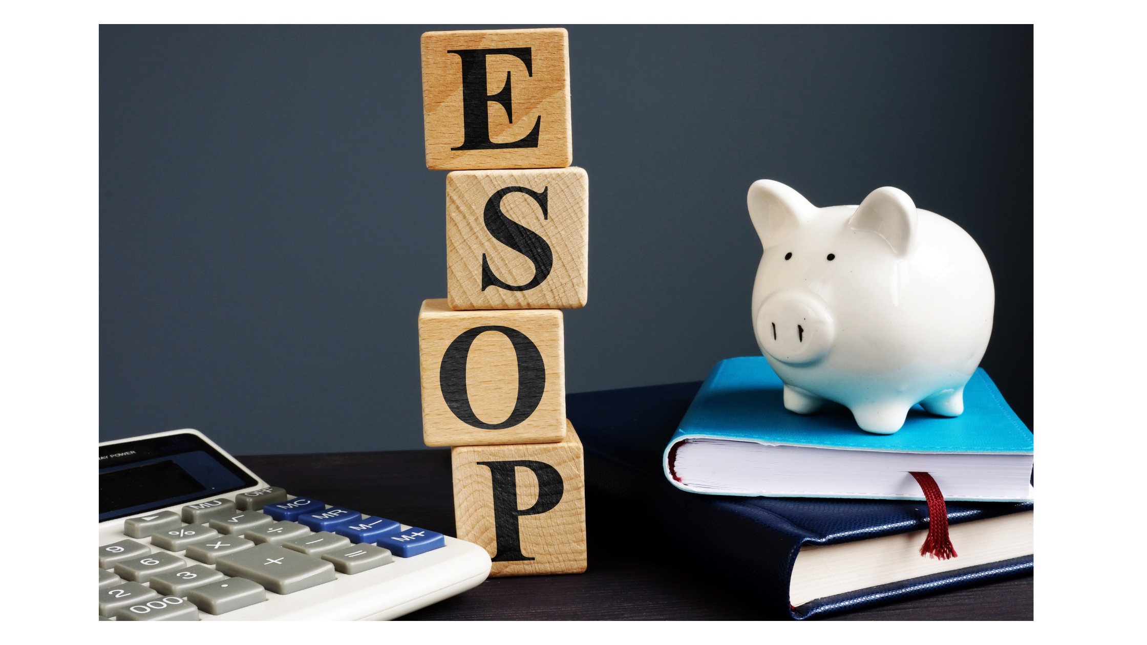 ESOPs In Action and Establishing a Legacy